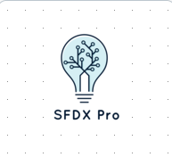 sfdx pro essentials
